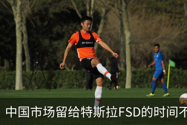 中国市场留给特斯拉FSD的时间不多了？