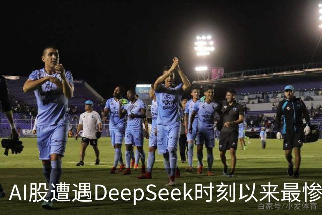 AI股遭遇DeepSeek时刻以来最惨一跌！高盛动量组合抹去全年涨幅，半导体指数逼近年线